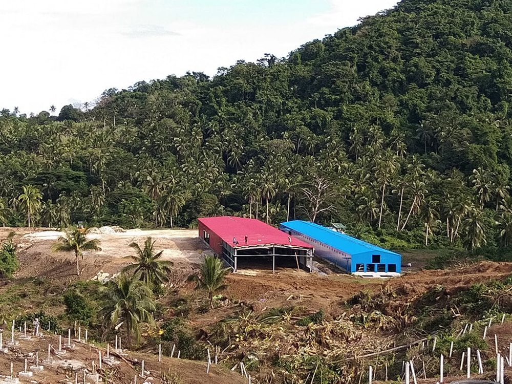 H type battery cage project in philippines chicken house