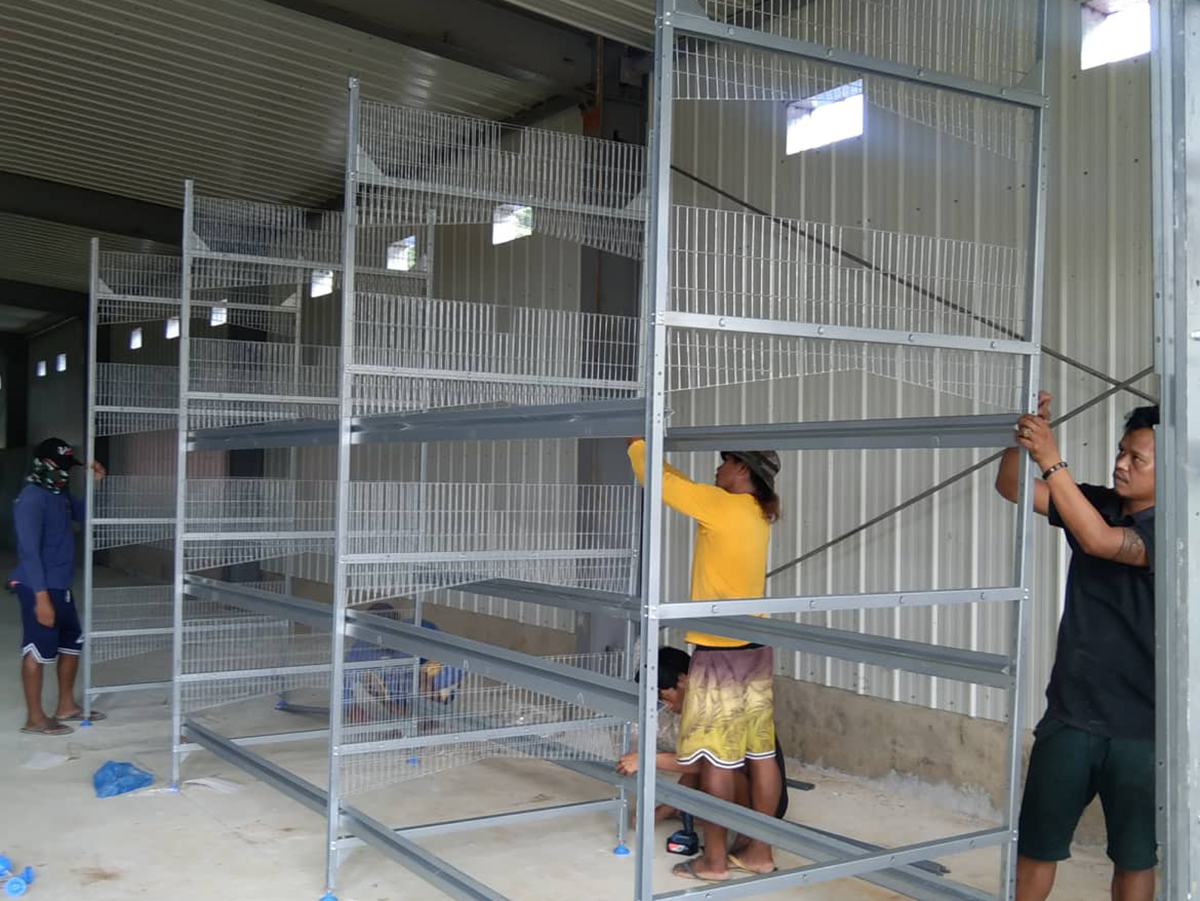 H type battery cage project in philippines installation