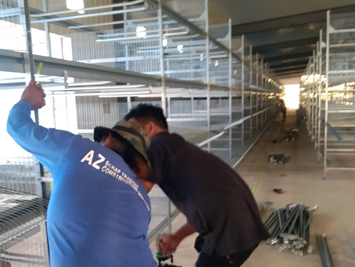 H type battery cage project in philippines installation