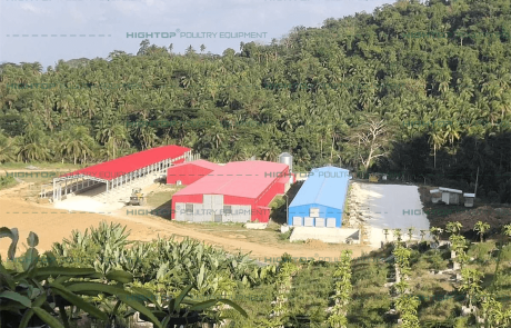 chicken house exterior