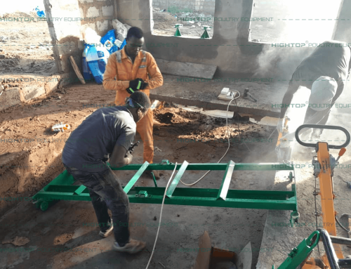 A type layer cage house for 15,000 chickens in Ghana