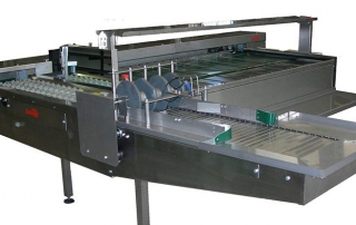 Egg Grading Machine