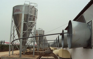 Feed Silo