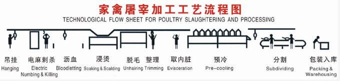 Large Scale Slaughterhouse Processing