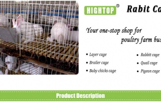 cheap rabbit cages