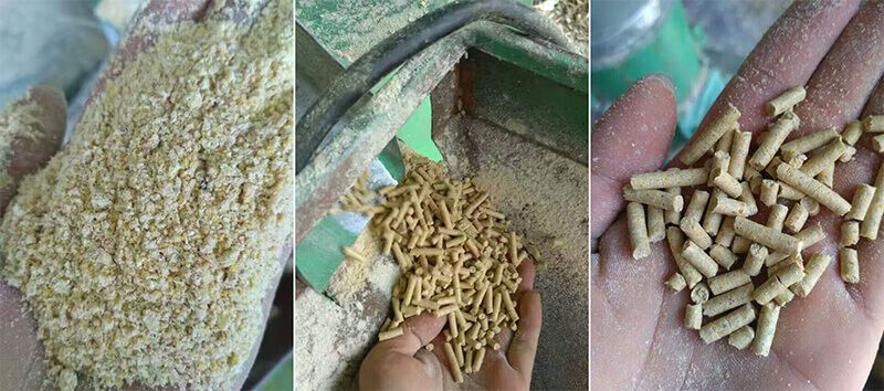 chicken feed pellet