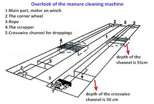 manure scraper