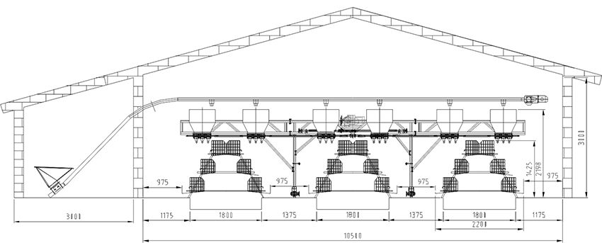 poultry house layout design