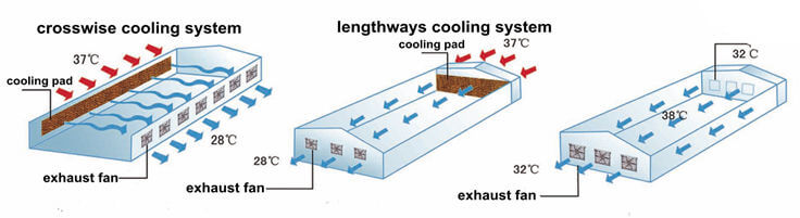 tunnel ventilation in poultry house